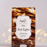 20m Plug In Copper Seed Lights
