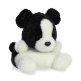 Palm Pals - Brody Collie
