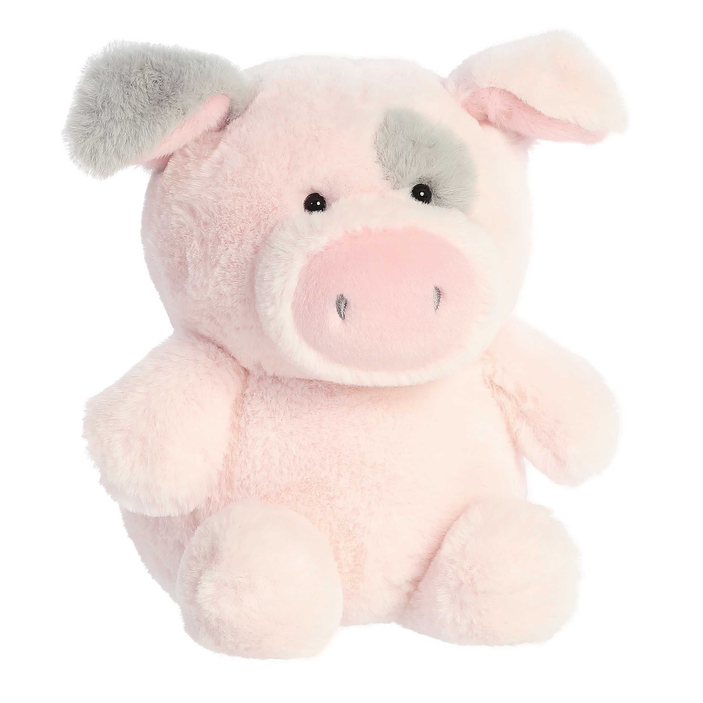 Smarty Pig