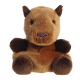 Palm Pals - Sid Capybara
