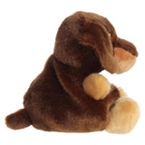 Palm Pals - Houdini Dachshund