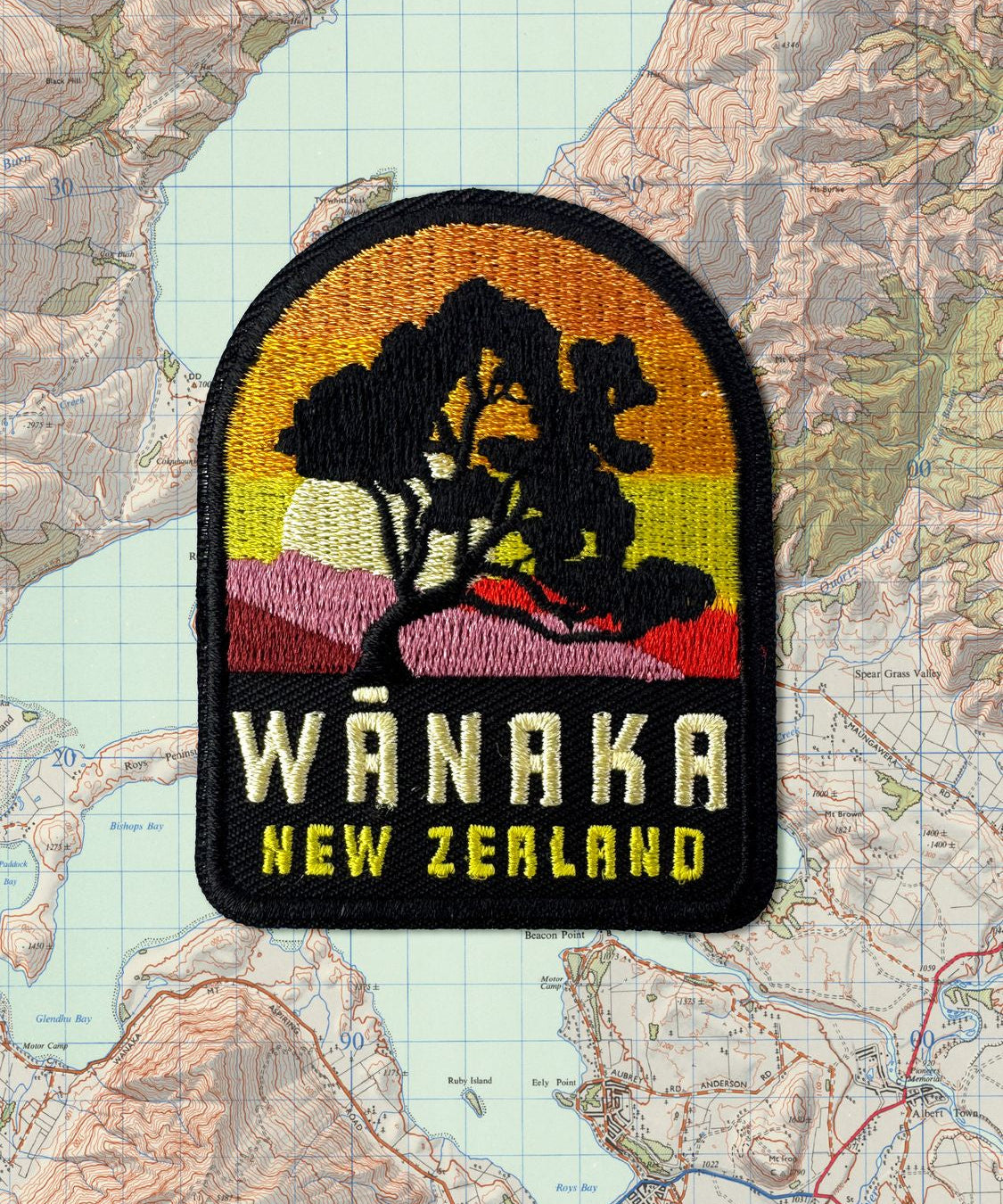 Slide image