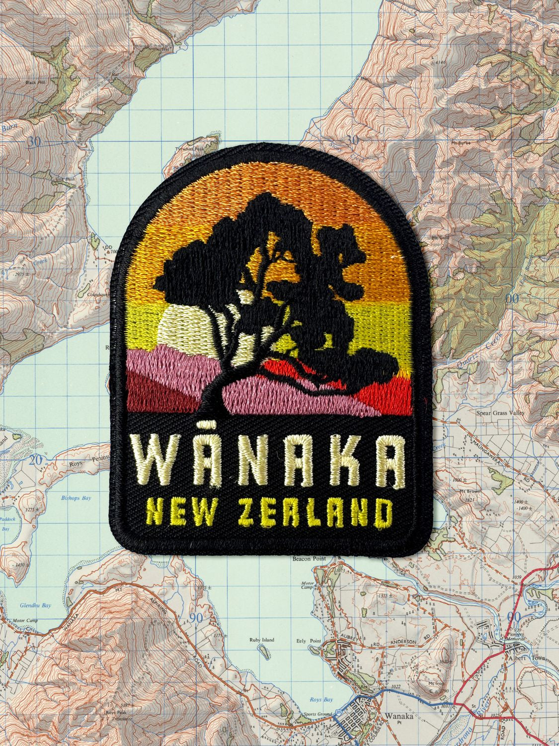 Slide image