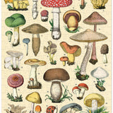 Mushrooms 240 Pce - Mini Puzzle