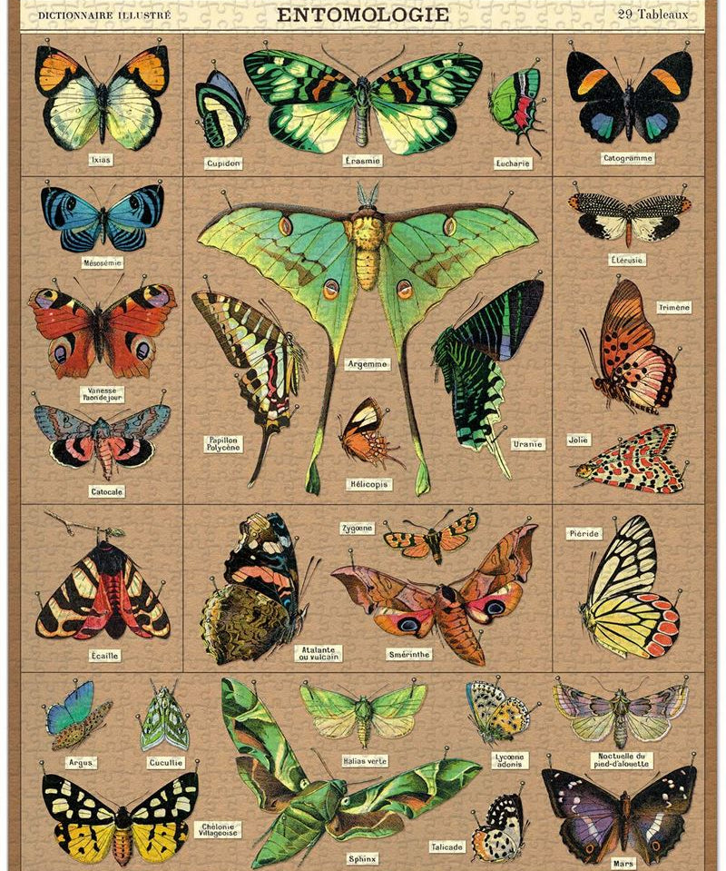 Entomology 1000 Pce - Vintage Puzzle