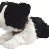Border Collie Harness