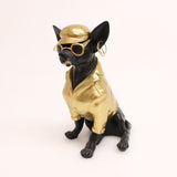 Chihuahua - Black/Gold