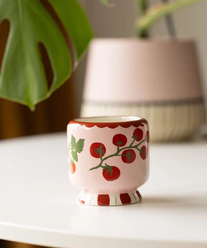 Adopo Tomatoe Vine Ceramic Candle - Heirloom Tomato 226g
