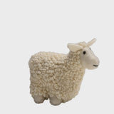 Woolburn - Aubrey The Sheep