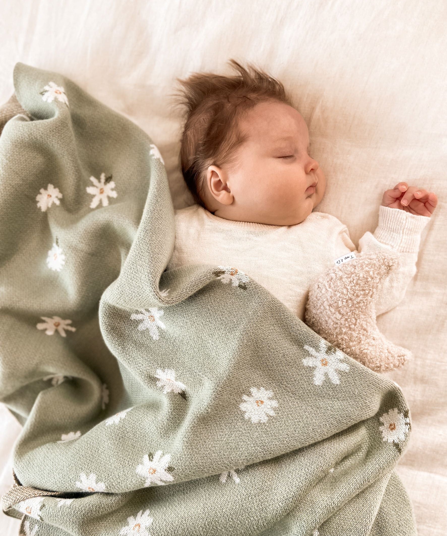 Organic Daisy Blanket in Thyme