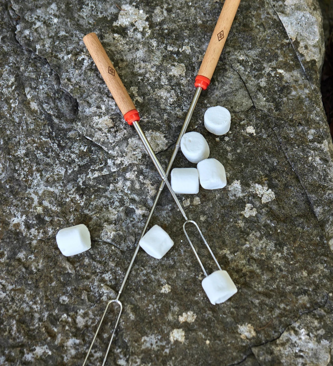 Telescoping Roasting Forks