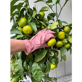Leather Gardening Gloves