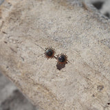 Rā Paua Stud