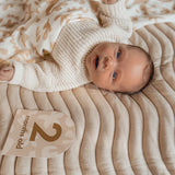 Baby Milestone Cards Helios