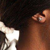 Equus Ferus Studs