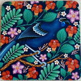 Kokako - Coaster