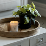Blackberry & Musk - Candle