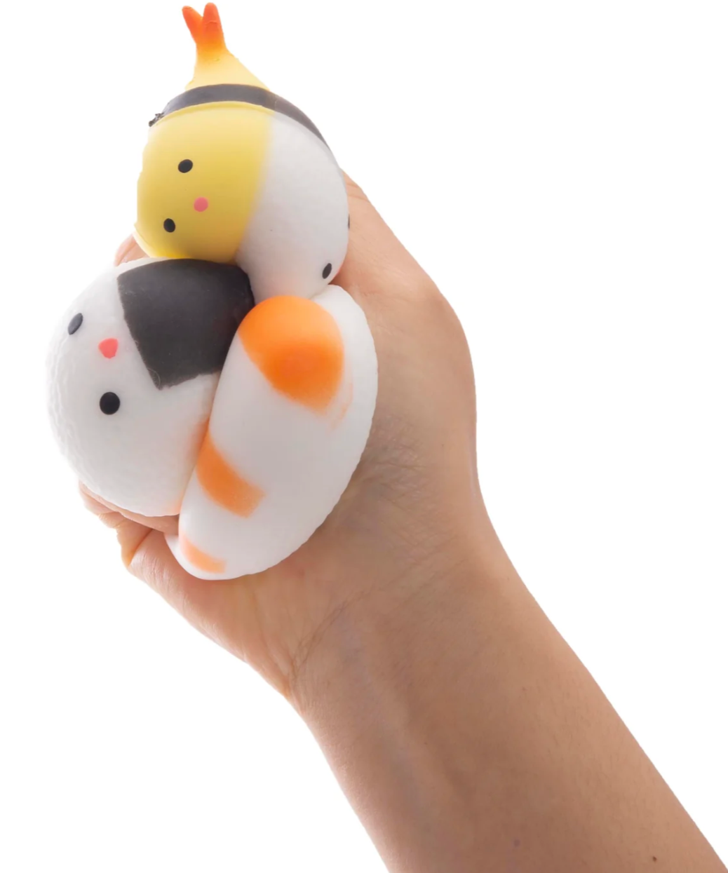 Squishy Sushi
