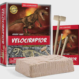 Piano Potato | Dig Kits - Velociraptor