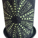 Kina Green On Grey - Grow Bag
