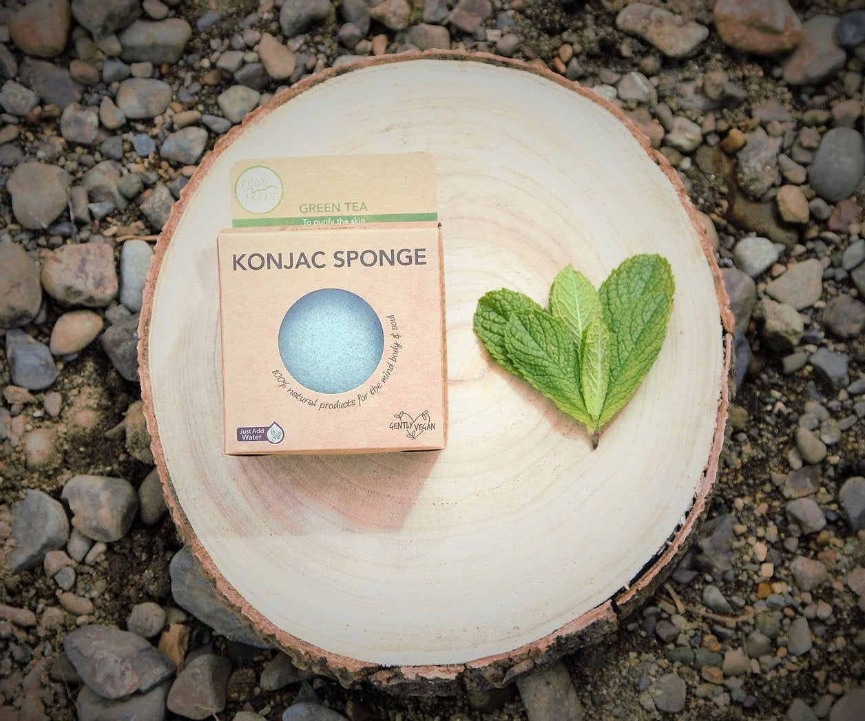 Slide image