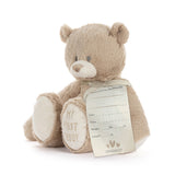 Demdaco My First Teddy Tan 24cm