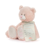 Demdaco My First Teddy Pink 24cm