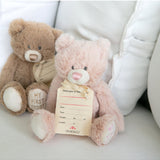 Demdaco My First Teddy Pink 24cm