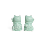 Salt and Pepper Lucky Cat