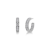 Andorra Earrings Mini Steel