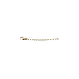 Extended Chain 5 cm Gold