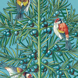 Three Goldfinches Xmas Cards - Pk 8
