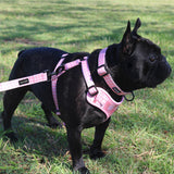 Frank Barker Harness
