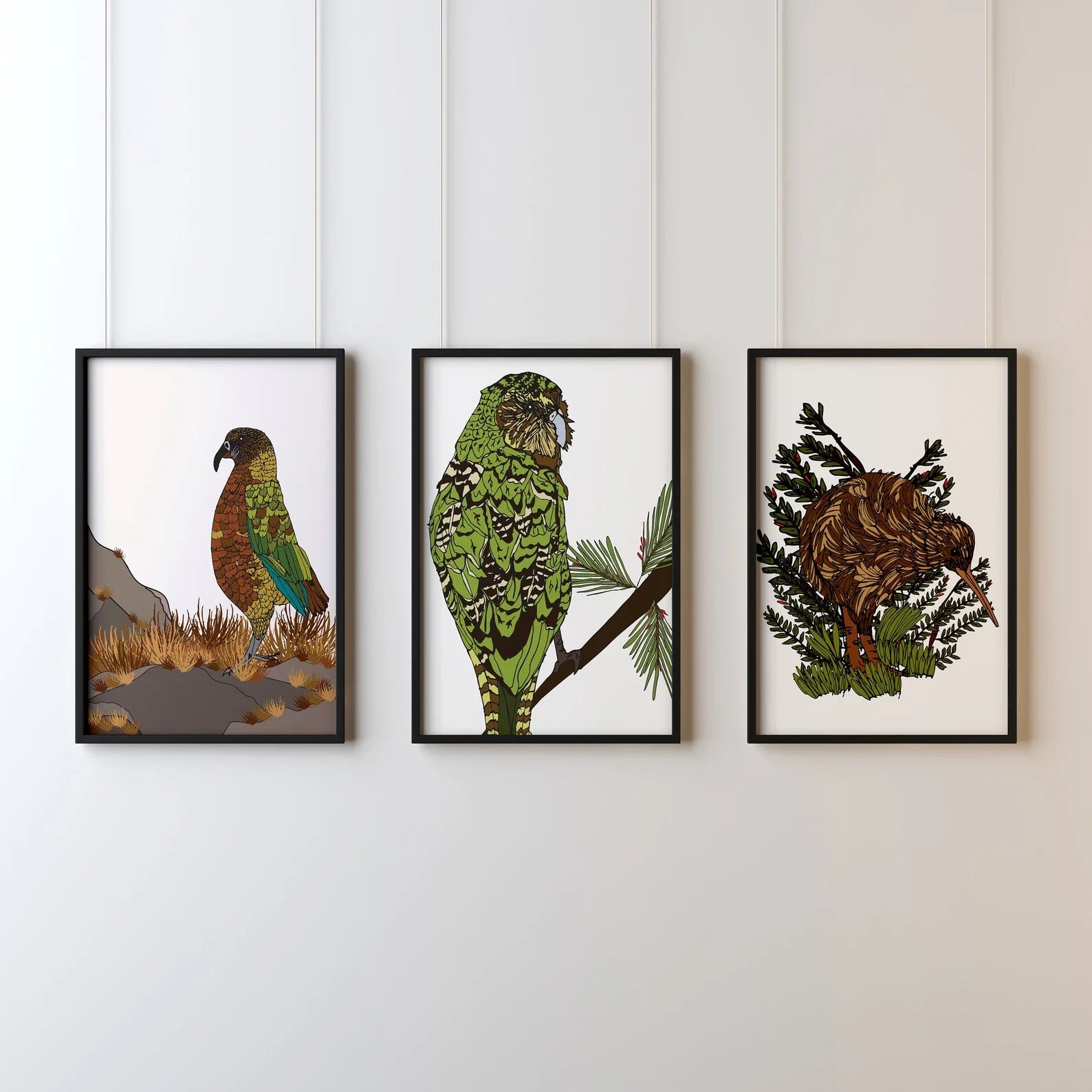 Kakapo - A4 Print