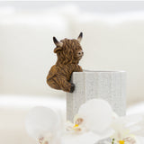 Saddle & Bloom Highland Cow Pot Hangers - Assorted