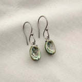 Paua Shell Dangle Hook Earrings
