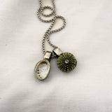 Pāua & Kina Shell Pair Necklace