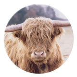Rustic Meadow - Cow Ceramic Coaster