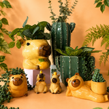 Cactus Planter Green 20cm