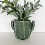 Cactus Planter Green 20cm