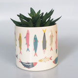 Sardines Planter - Colourful