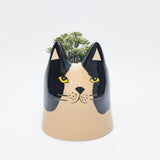Bailey Cat Planter Black & White - 14cm